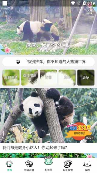ipand熊猫频道.jpg